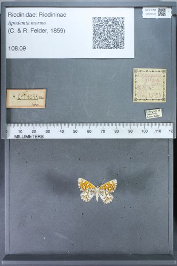 Media type: image;   Entomology 76505